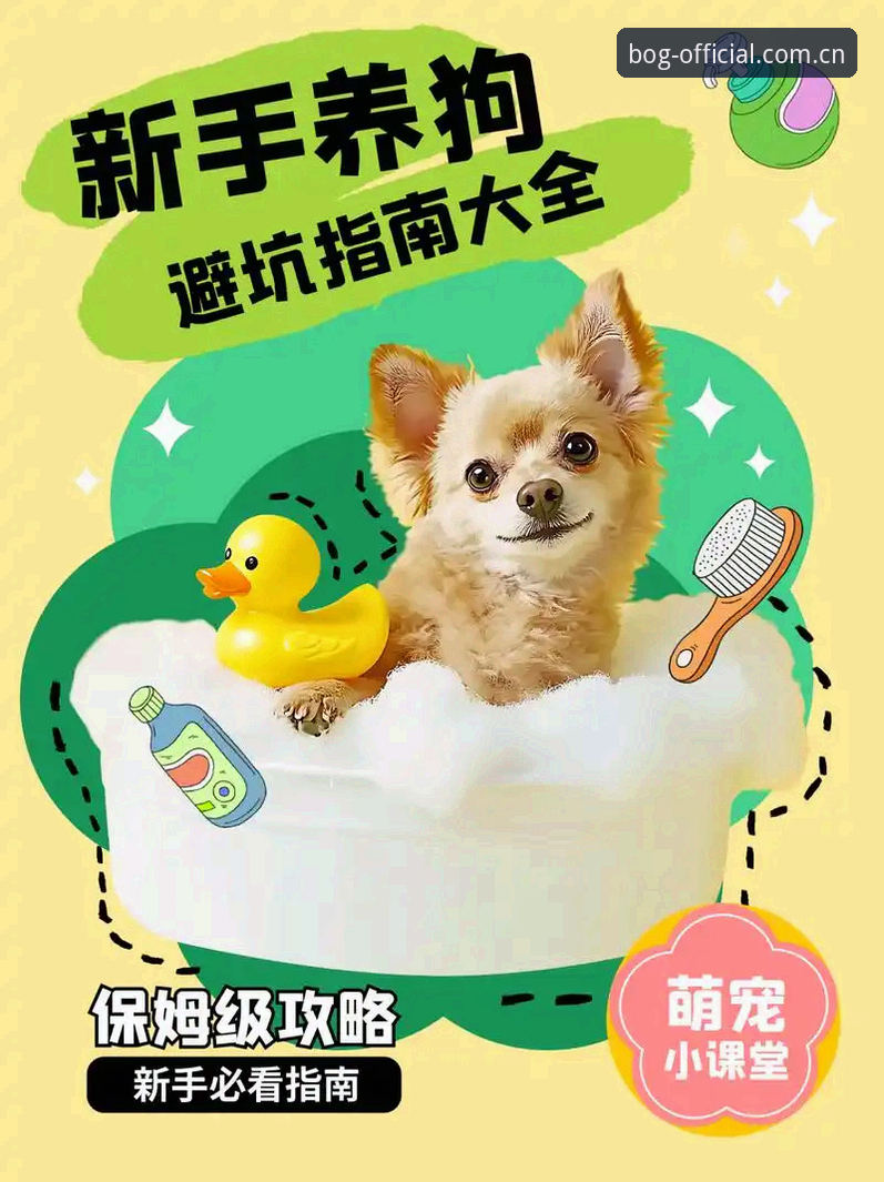 旧版博狗BOGO兼容安全吗？2025改版后的实用避坑指南